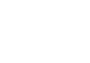 Fitomat_Logo_white